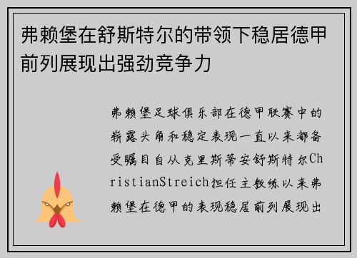 弗赖堡在舒斯特尔的带领下稳居德甲前列展现出强劲竞争力